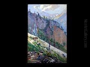 Gerollhang Im Hochgebirge