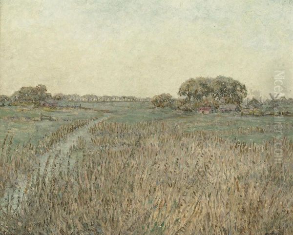 A Wild Meadow - view 1