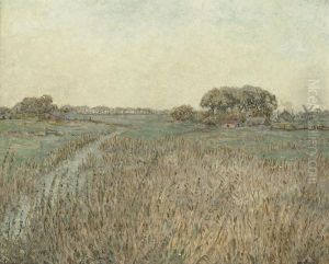 A Wild Meadow by William Henry, Singer Jnr.