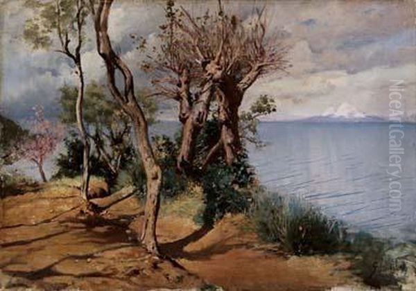 Il Vesuvio Innevato - view 1