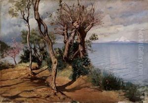 Il Vesuvio Innevato by G. Sinibaldi