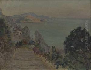Ansicht Auf Capri Ansicht Auf Capri