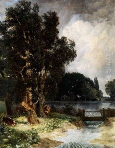 Abendlandschaft Mit Hohen Birken Amteich Mit Kuhen by Gerhard Sipmann