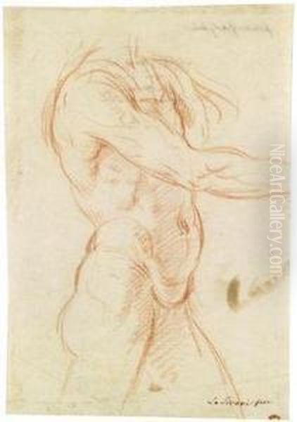 Study Of A Male Torso - view 1