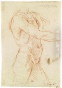 Study Of A Male Torso by Elisabetta Sirani