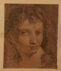 Study Ofa Head by Elisabetta Sirani