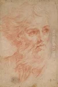 Tete D'homme Barbu by Giovanni Andrea Sirani