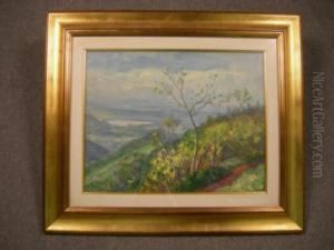 Paesaggio Collinare by Giovanni Sirombo