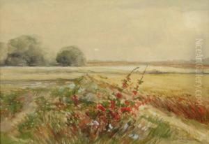 Landscape With Wildflowers by Edward R. Sitzman
