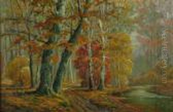 "sycamore Creek" - view 1