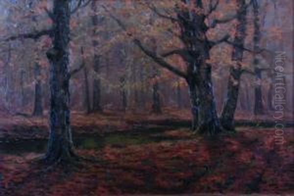 Richmond, Indiana, Beech Trees - view 1