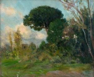 Paesaggio by Carlo Siviero
