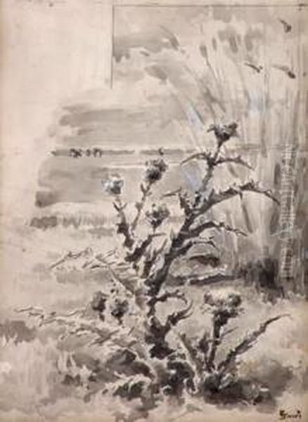 "el Cardo". - view 1