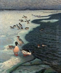 Sjofagel I Havsbandet by Axel Sjoberg