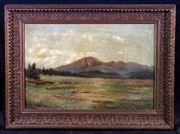 A Meadow Landscape With Mountains In The Distance - view 1