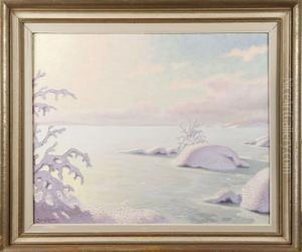 Vintermotiv - view 1