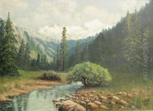 Headwaters Of Tuolumne River by Christian Petersen Skov