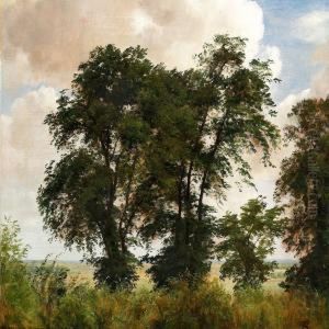 Elmetraeer I Alleen Ved Herregaarden Vognserup by P. C. Skovgaard