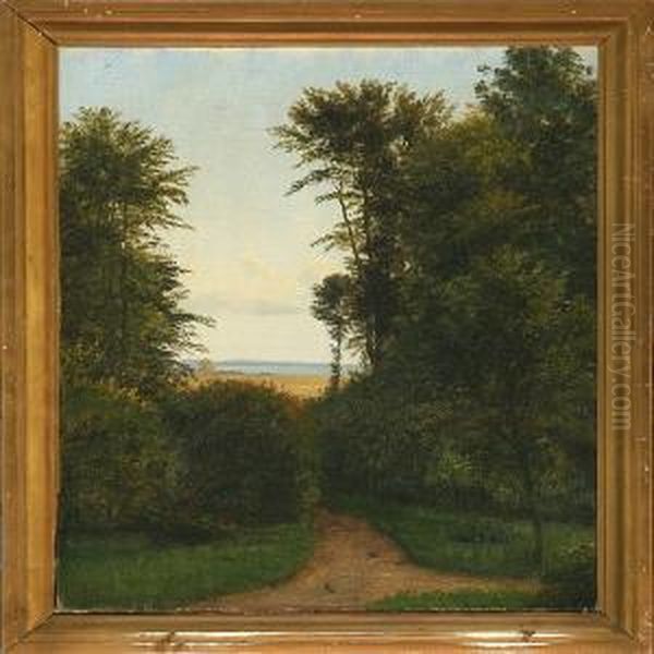 Landscape From Iselingen - view 1