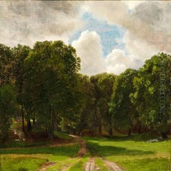 View Of "ulvedalene" In Dyrehaven (the Deer Park) North Of Copenhagen - view 1