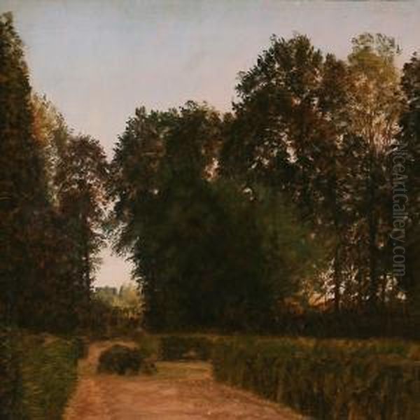 Path In The Garden - view 1
