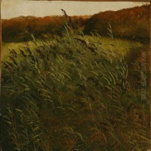 Landscape. Landscape.