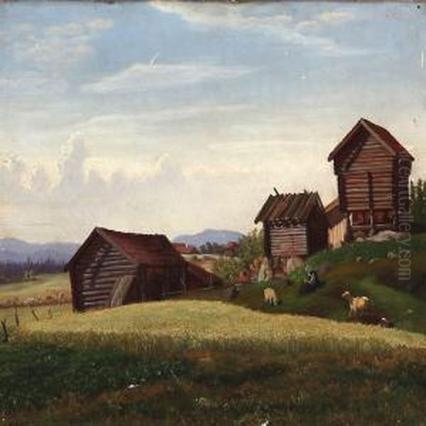 Kone Med Faar Ved En Norsk Bygd - view 1