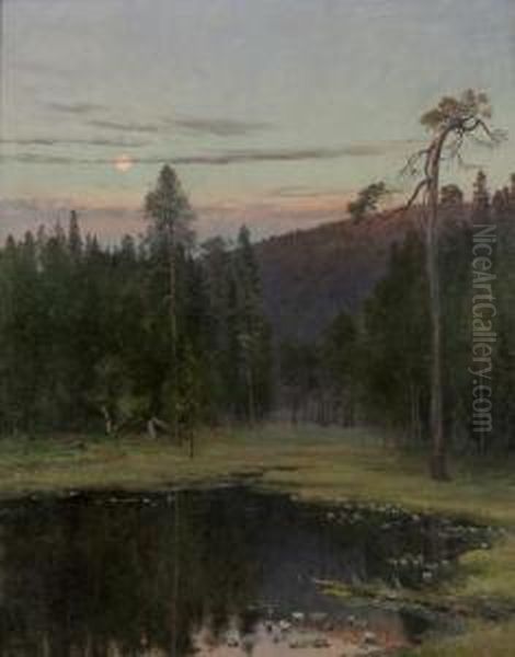 Evening By A Pond - view 1