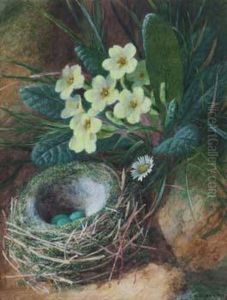 Still Life Studyof Primroses And A Bird's Nest