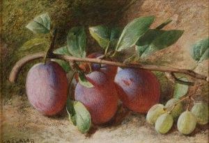 Still Life Of Damsons And White Grapes Against A Mossy Bank by Charles Henry Slater