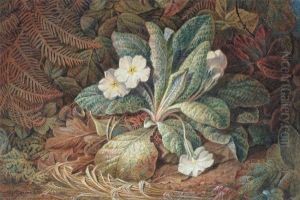 Still Life Of Primroses And Ferns On A Bank