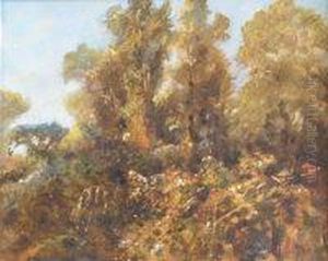 Wooded Landscape by John Falconar Slater