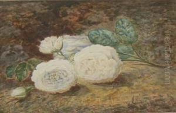 Roses - view 1