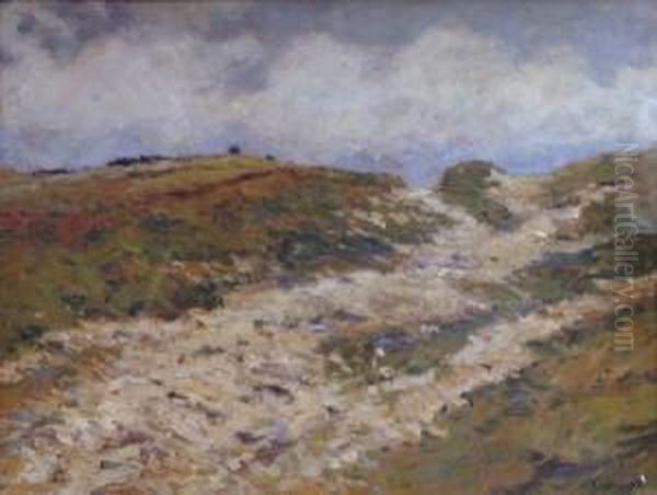 Landscape - view 1