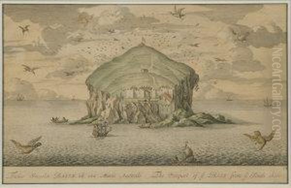 The Bass Rock - view 1