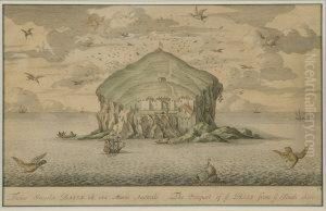 The Bass Rock by John Slezer