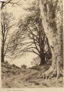 Horse And Cart Through The Wood
