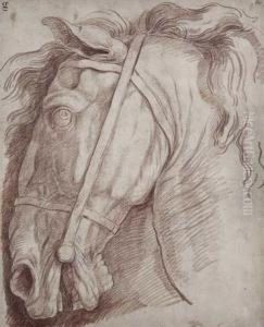 Etude De Tete De Cheval by Rene Michel Slodtz