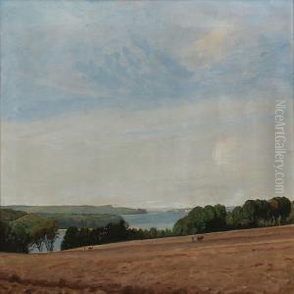 De To Fruer - view 1