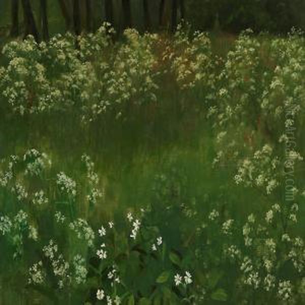 A Forest Floor - view 1
