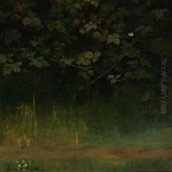 A Blackberry Thicket - view 1
