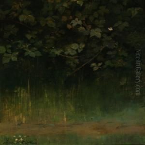 A Blackberry Thicket by Agnes Slott-Mrller