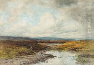 Extensive Moorland Landscape by John Smart