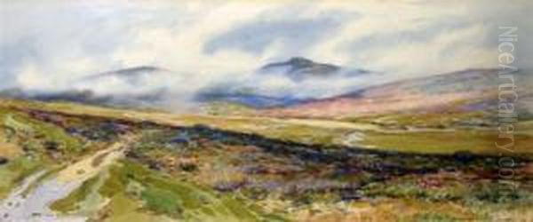 Moorland Path - view 1