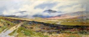Moorland Path by Robert Borlase Smart