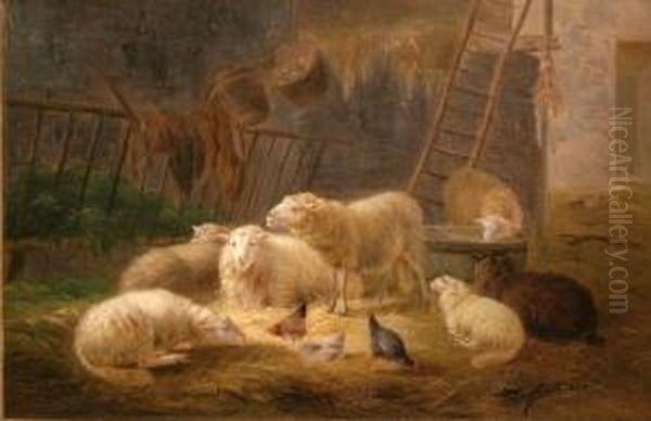 The Sheep Fold - view 1
