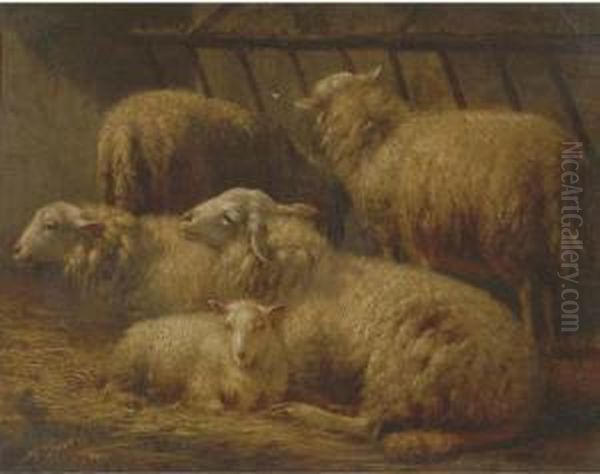Sheep In A Stable - view 1