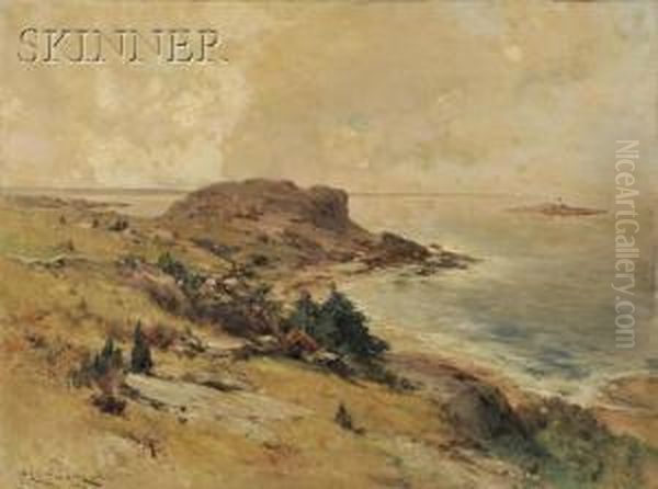 Coastal Scene - view 1