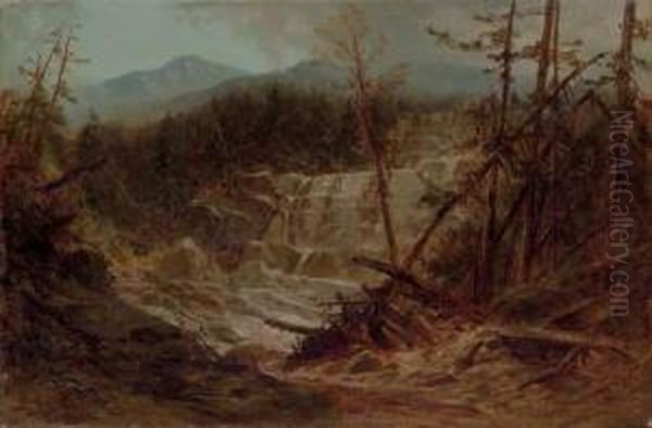Stream In The Adirondacks - view 1
