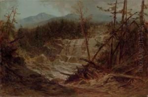 Stream In The Adirondacks by James David Smillie